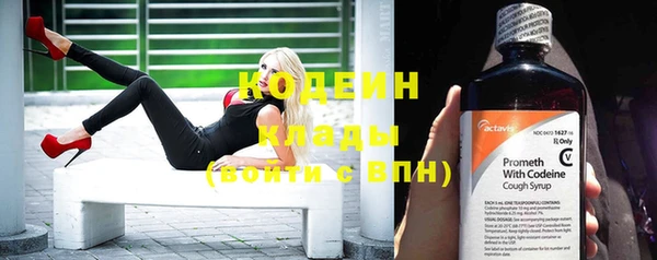 индика Горняк