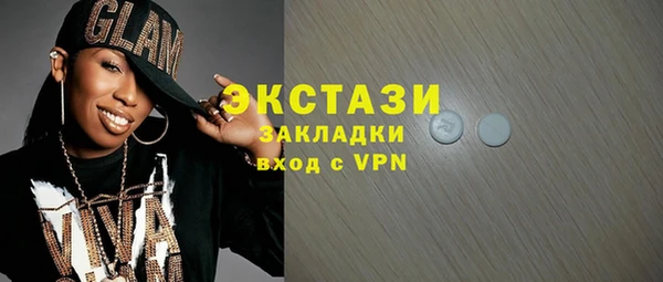 индика Горняк