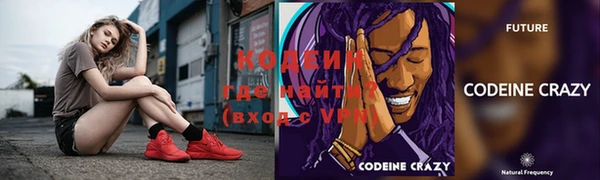 индика Горняк