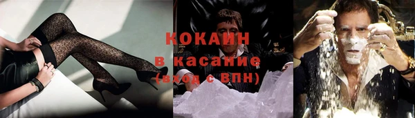 индика Горняк