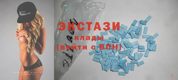 индика Горняк