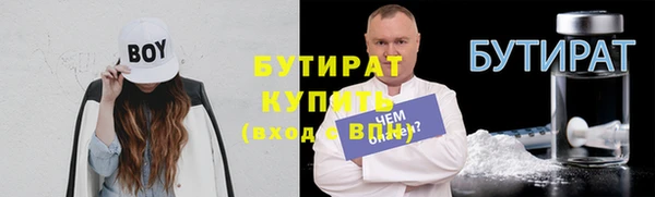 индика Горняк