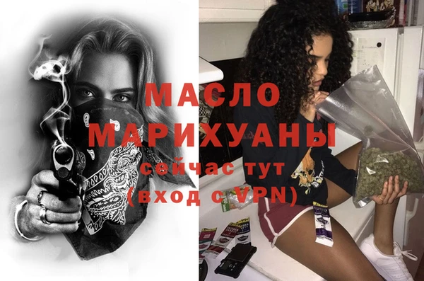 индика Горняк