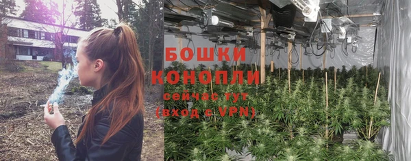 ПСИЛОЦИБИНОВЫЕ ГРИБЫ Горнозаводск