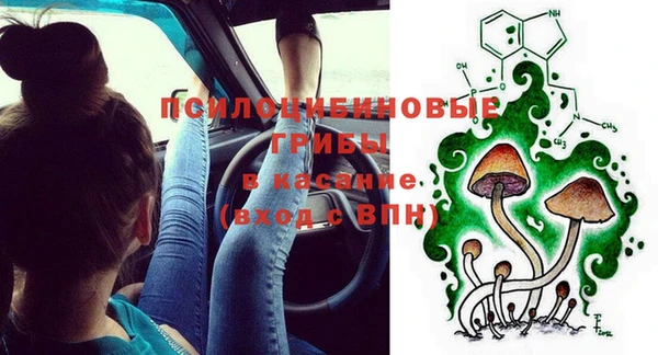 ПСИЛОЦИБИНОВЫЕ ГРИБЫ Горнозаводск