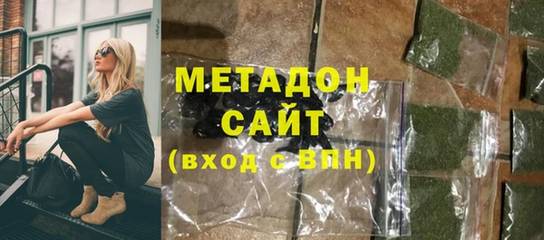 индика Горняк