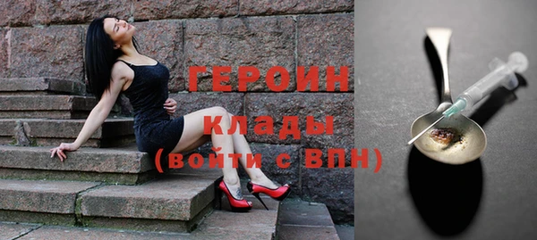 индика Горняк