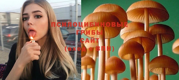 индика Горняк