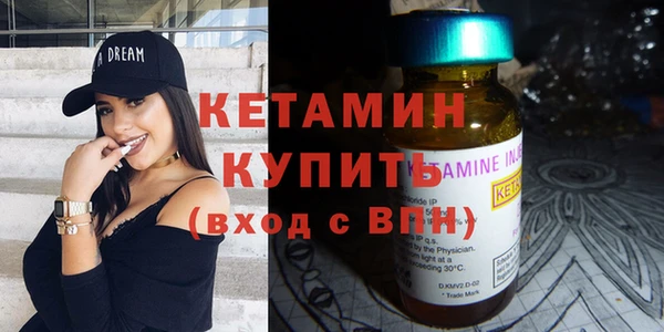 индика Горняк