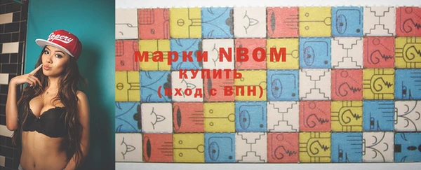 индика Горняк