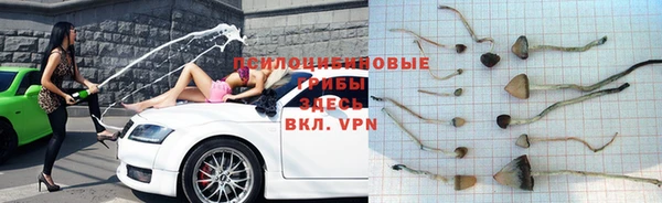 ПСИЛОЦИБИНОВЫЕ ГРИБЫ Горнозаводск