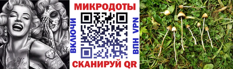 Псилоцибиновые грибы Magic Shrooms Купить где Плавск