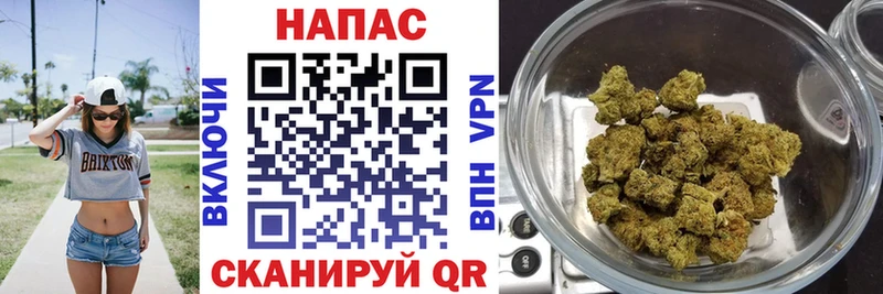 Шишки марихуана SATIVA & INDICA Купить где Плавск